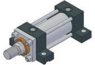Conforti-ISO MS2